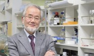 日本为何能成为诺奖第二大国？来理性谈谈我们的“科研的差距”