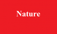 《Nature》：一种新机制！设计出2.3GPa超高强塑性纳米合金
